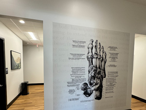 Pathway Gallery Pic6